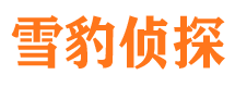 户县市侦探公司